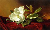 A Magnolia on Red Velvet by Martin Johnson Heade